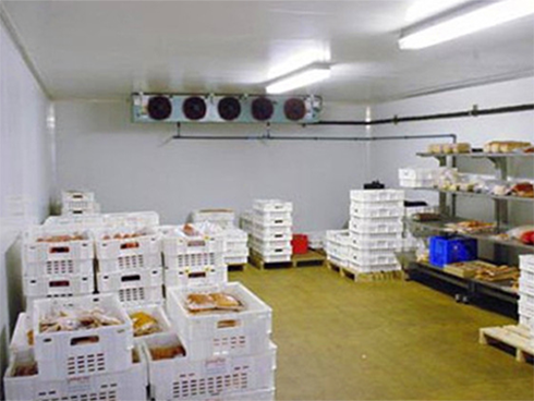 生鲜菠萝蜜在线观看建造