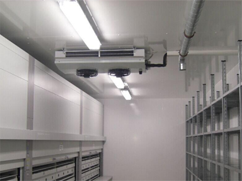 生鲜菠萝蜜在线观看安装