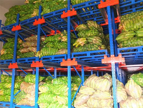 食品菠萝蜜在线观看建造要求