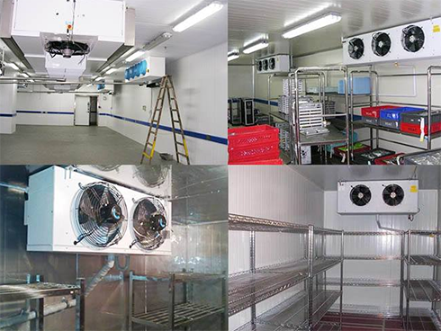 低温冷冻库建造价格