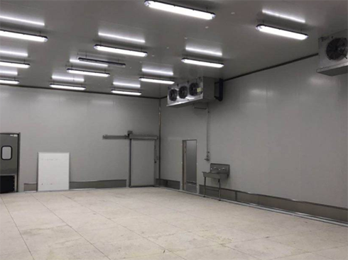 食品速冻型菠萝蜜在线观看建造费用