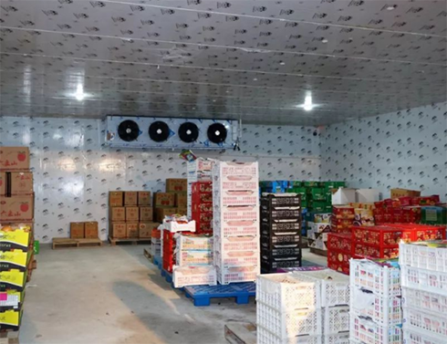 生鲜菠萝蜜在线观看建造价格