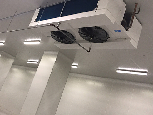 食品菠萝蜜在线观看建造安装费用