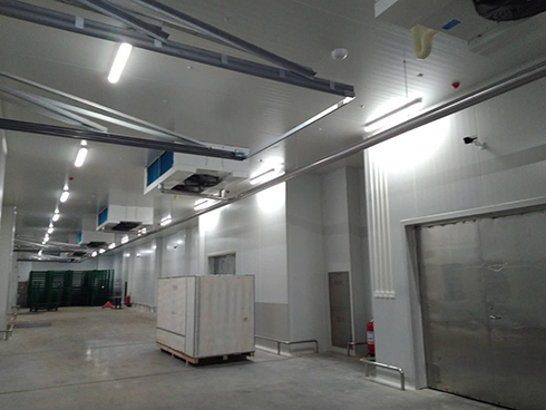 食品菠萝蜜在线观看建造安装费用