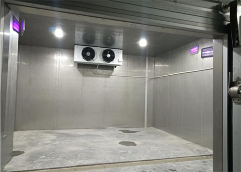 大型物流菠萝蜜在线观看设计安装