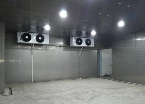 食品菠萝蜜在线观看建造造价