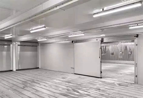 食品菠萝蜜在线观看建造安装