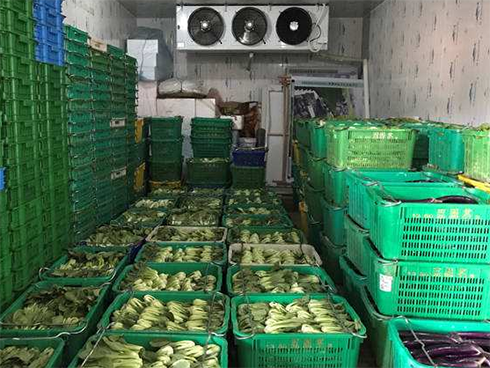 食品低温仓库建造费用