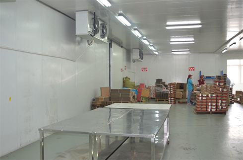 食品冷冻库建造