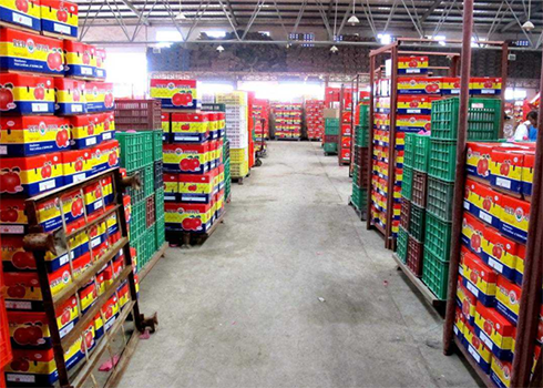 水果菠萝蜜在线观看安装建造