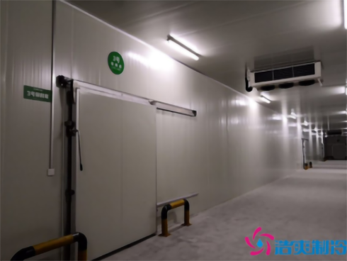 食品菠萝蜜在线观看建造 食品菠萝蜜在线观看建造