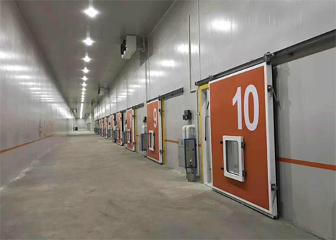 食品低温菠萝蜜在线观看建造