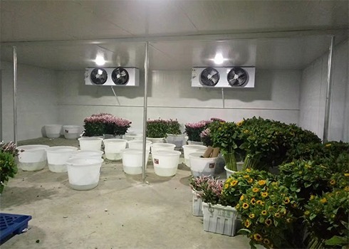 鲜花保鲜菠萝蜜在线观看建造