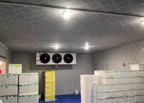 食品菠萝蜜在线观看建造安装