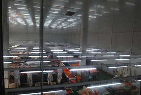 水产冷冻库建造多少钱 水产冷冻库建造多少钱