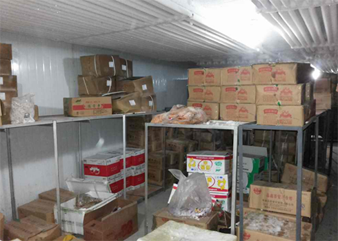 保鲜菠萝蜜在线观看建造安装