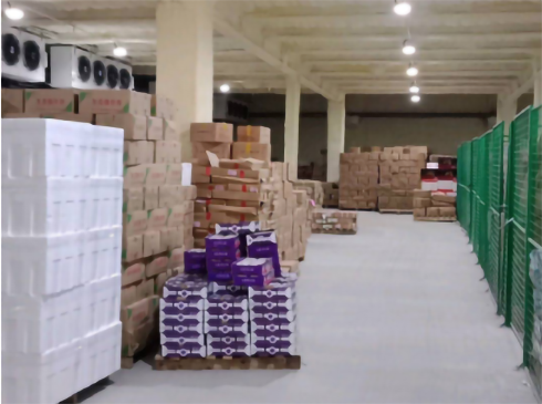 建造生鲜冷链物流菠萝蜜在线观看安装费用