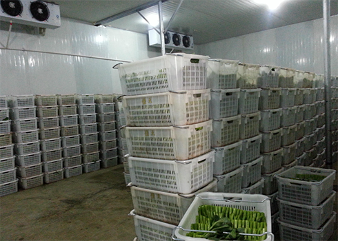 果蔬保鲜库安装造价