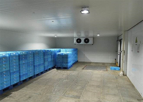 保鲜菠萝蜜在线观看建造 保鲜菠萝蜜在线观看建造