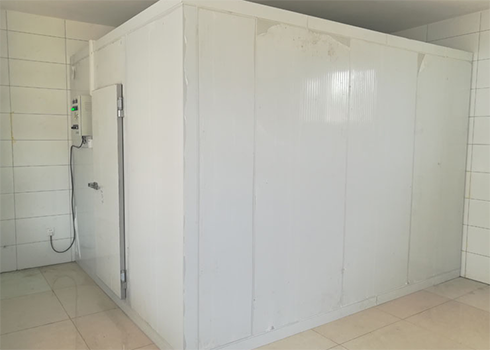 冷链物流菠萝蜜在线观看建造