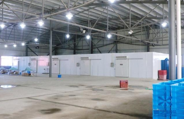 果蔬菠萝蜜在线观看安装管理规范