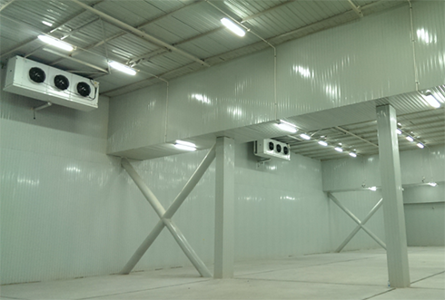 食品菠萝蜜在线观看造价费用 食品菠萝蜜在线观看造价费用