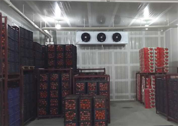 2~8℃樱桃冷藏库 2~8℃樱桃冷藏库