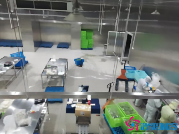 -30℃速冻水饺菠萝蜜在线观看安装