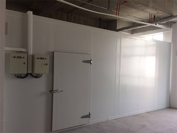 酒店食品菠萝蜜在线观看设计安装