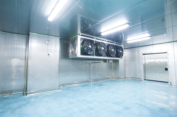 食品冷链配置低温菠萝蜜在线观看建造安装