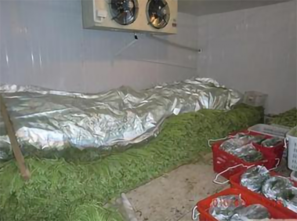 茶叶低温冷藏库建造 茶叶低温冷藏库建造