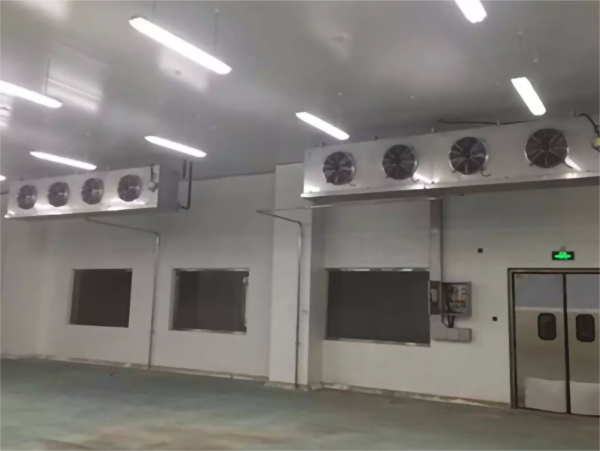 保鲜菠萝蜜在线观看耗电量的影响因素