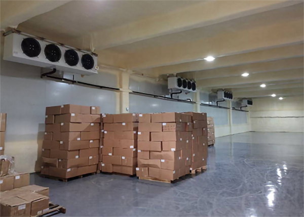 速冻菠萝蜜在线观看安装保养