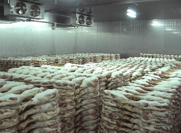 速冻菠萝蜜在线观看注意事项