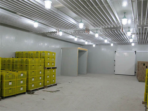 水果菠萝蜜在线观看建设特点 水果菠萝蜜在线观看建设特点