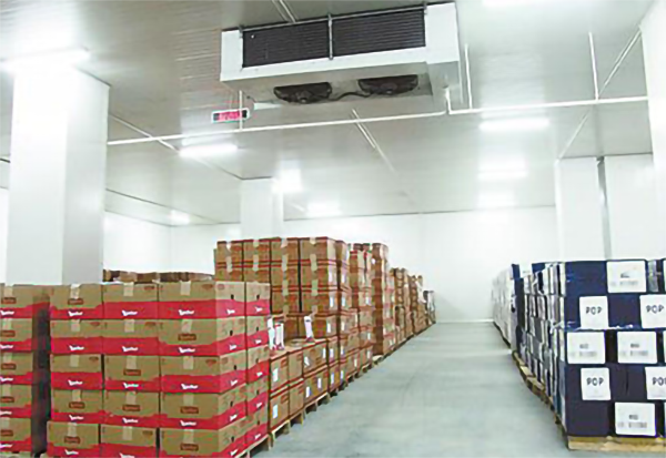 大型生鲜菠萝蜜在线观看建造价格