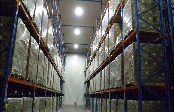 大型生鲜菠萝蜜在线观看建造价格