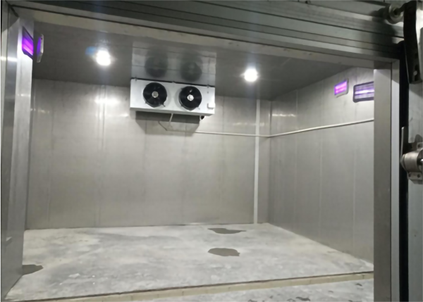 生鲜菠萝蜜在线观看设计安装 生鲜菠萝蜜在线观看设计安装