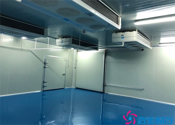 食品菠萝蜜在线观看安装公司