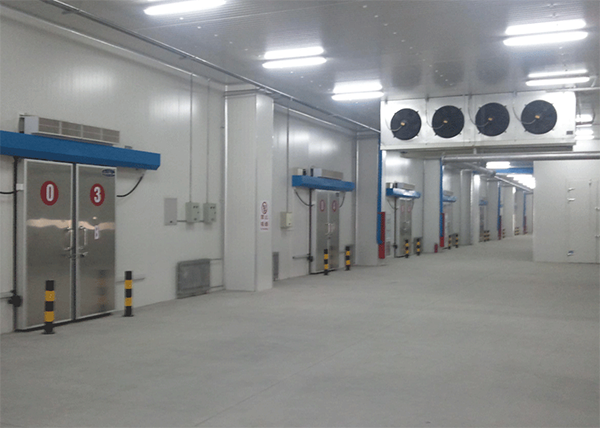 食品菠萝蜜在线观看安装注意事项