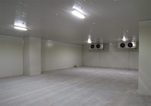 保鲜菠萝蜜在线观看安装