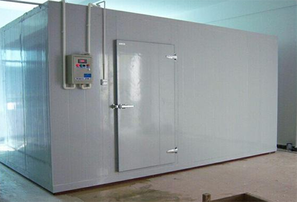 保鲜菠萝蜜在线观看安装