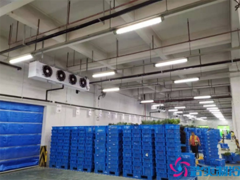 海鲜水产低温冷冻库