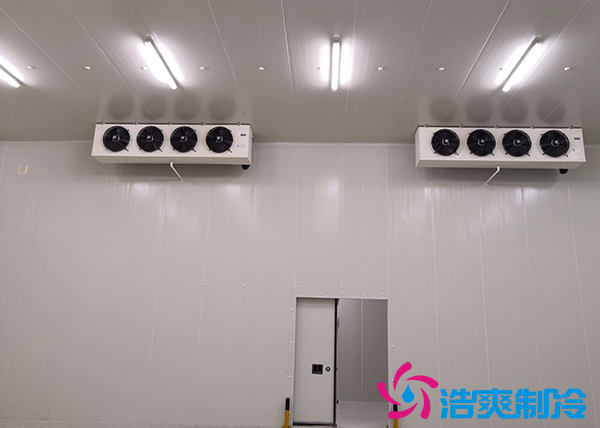 安装一个冷链物流冷藏库需要的费用是多少？