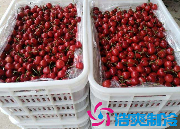 樱桃气调建造完成后有哪些储存方法和步骤？_菠萝蜜视频在线免费观看制冷