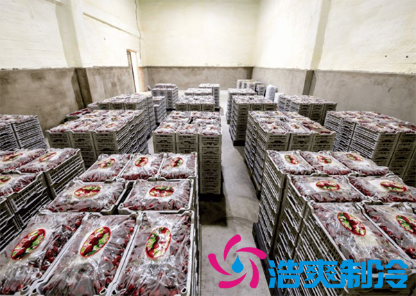 樱桃气调建造完成后有哪些储存方法和步骤？_菠萝蜜视频在线免费观看制冷