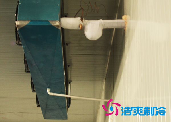 建造大型农产品基地菠萝蜜在线观看造价需要投资多少费用？