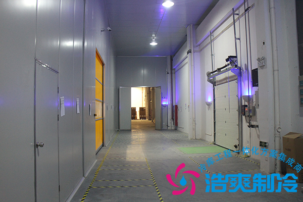 建造一个小型青果槟榔保鲜菠萝蜜在线观看造价多少钱？可以存储多长时间？