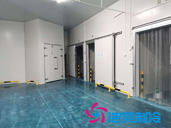 滨州健源大型食品菠萝蜜在线观看工程建造安装案例