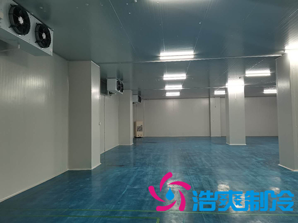 滨州健源大型食品菠萝蜜在线观看工程建造安装案例